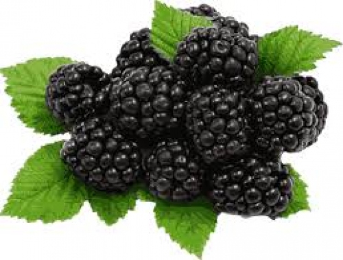 Mâm xôi đen Úc Black Raspberry 125g 019